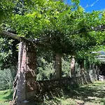 Podere Il Giardino - Casale Rustico Degli Ulivi Con Piscina E Parco - Lucca Holiday home *
