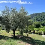 Holiday home Podere Il Giardino - Casale Rustico Degli Ulivi Con Piscina E Parco - Lucca *