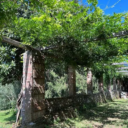 Podere Il Giardino - Casale Rustico Degli Ulivi Con Piscina E Parco - Lucca Дом отдыха *