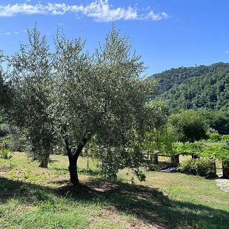 Дом отдыха Podere Il Giardino - Casale Rustico Degli Ulivi Con Piscina E Parco - Lucca *