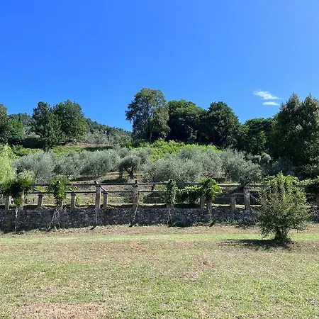 Podere Il Giardino - Casale Rustico Degli Ulivi Con Piscina E Parco - Lucca Дом отдыха *